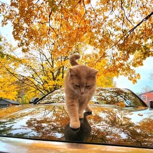 Meet The Posher ! I'm a Watercolor Artist. 😊❤️